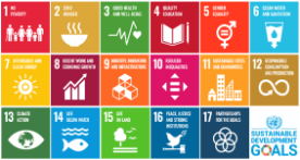 New SDGs Website Offers a Snapshot of DKU’s SDGs Activities